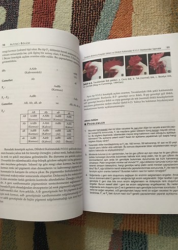 Genetik (Örnek Problemlerle) - Palme Yayınevi - Görsel 5