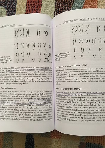 Genetik (Örnek Problemlerle) - Palme Yayınevi - Görsel 6