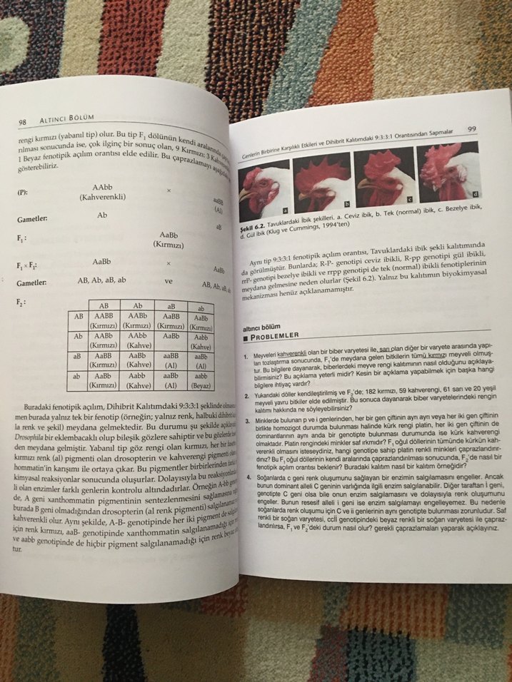 Genetik (Örnek Problemlerle) - Palme Yayınevi - Görsel 5