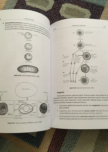 Genel Zooloji Ders Kitabı - Prof. Dr. Abdurrahman Aktümsek - Görsel 2