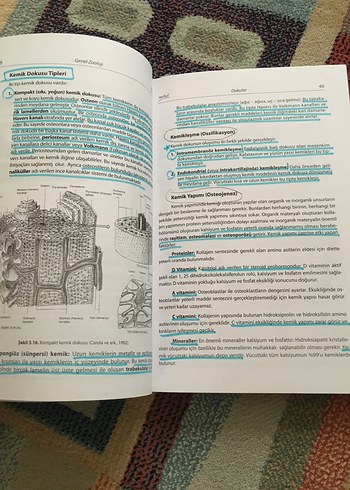Genel Zooloji Ders Kitabı - Prof. Dr. Abdurrahman Aktümsek - Görsel 6