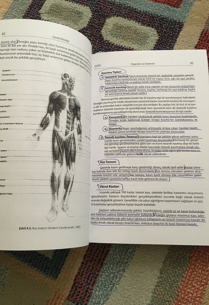 Genel Zooloji Ders Kitabı - Prof. Dr. Abdurrahman Aktümsek - Görsel 4