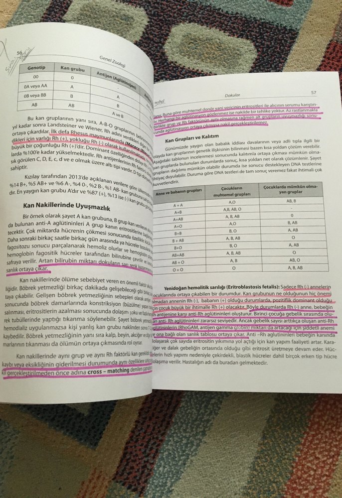 Genel Zooloji Ders Kitabı - Prof. Dr. Abdurrahman Aktümsek - Görsel 5