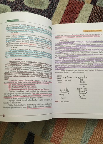 Bitki Biyolojisi - Prof. Dr. Hüseyin Masırdalı - Görsel 7