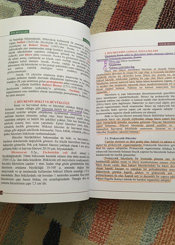 Bitki Biyolojisi - Prof. Dr. Hüseyin Masırdalı - Görsel 5