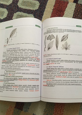 Bitki Biyolojisi - Prof. Dr. Hüseyin Masırdalı - Görsel 3