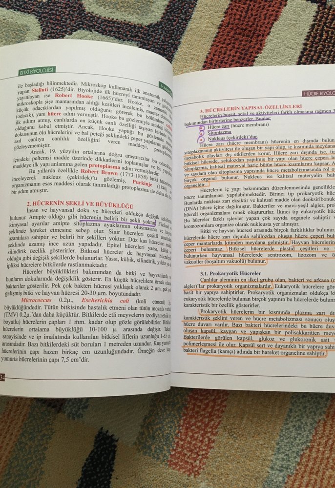 Bitki Biyolojisi - Prof. Dr. Hüseyin Masırdalı - Görsel 5