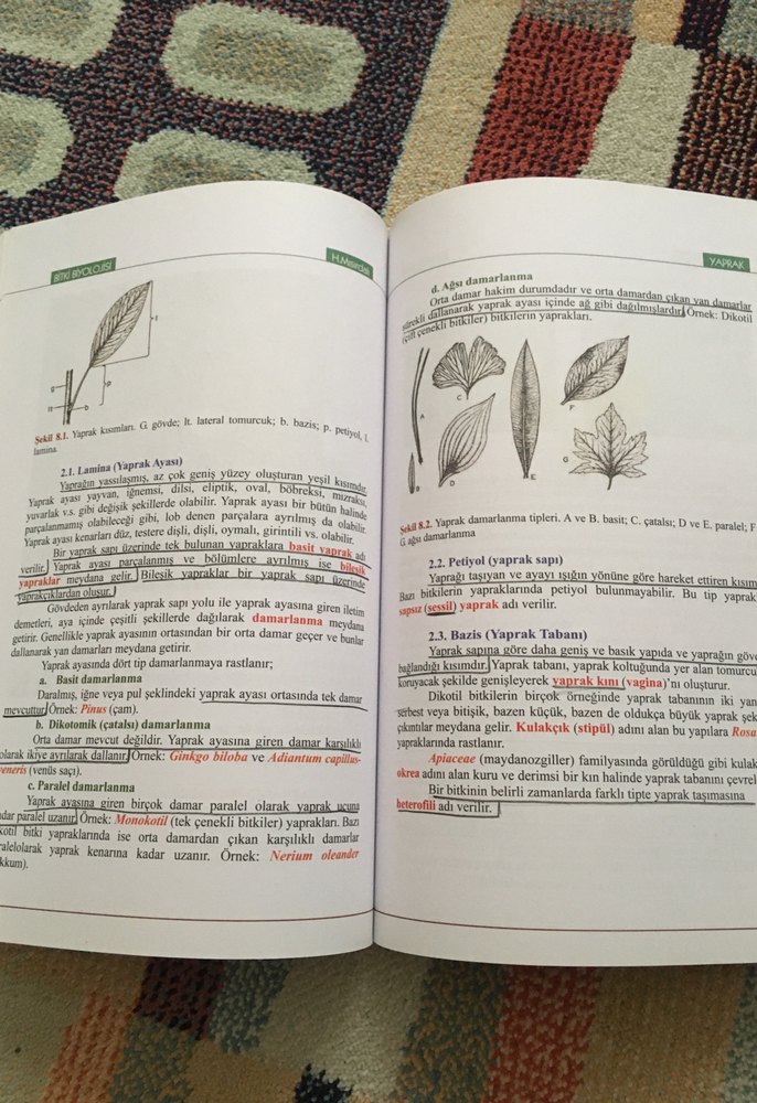 Bitki Biyolojisi - Prof. Dr. Hüseyin Masırdalı - Görsel 3