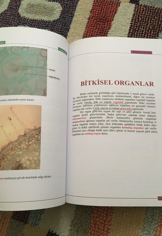 Bitki Biyolojisi - Prof. Dr. Hüseyin Masırdalı - Görsel 2