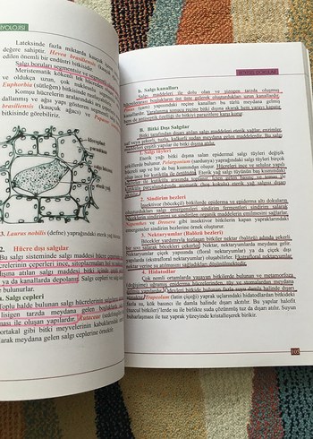 Bitki Biyolojisi Kitabı - Prof. Dr. Hüseyin Masırdalı - Görsel 4