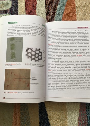 Bitki Biyolojisi Kitabı - Prof. Dr. Hüseyin Masırdalı - Görsel 6