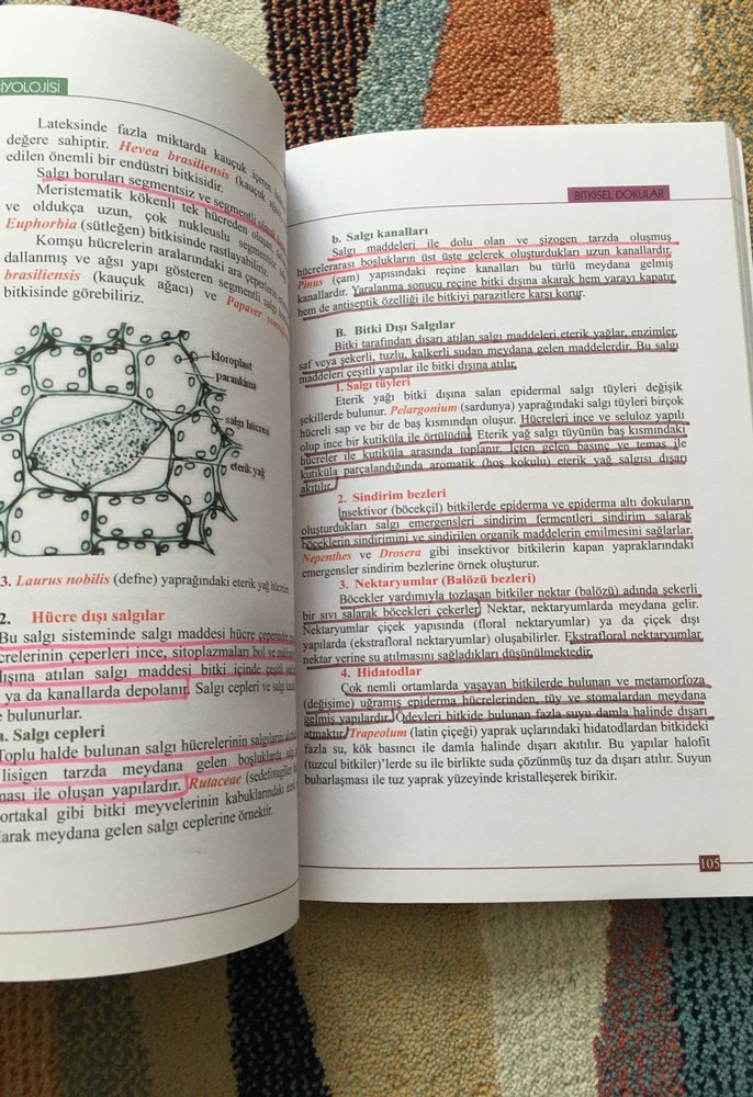 Bitki Biyolojisi Kitabı - Prof. Dr. Hüseyin Masırdalı - Görsel 4