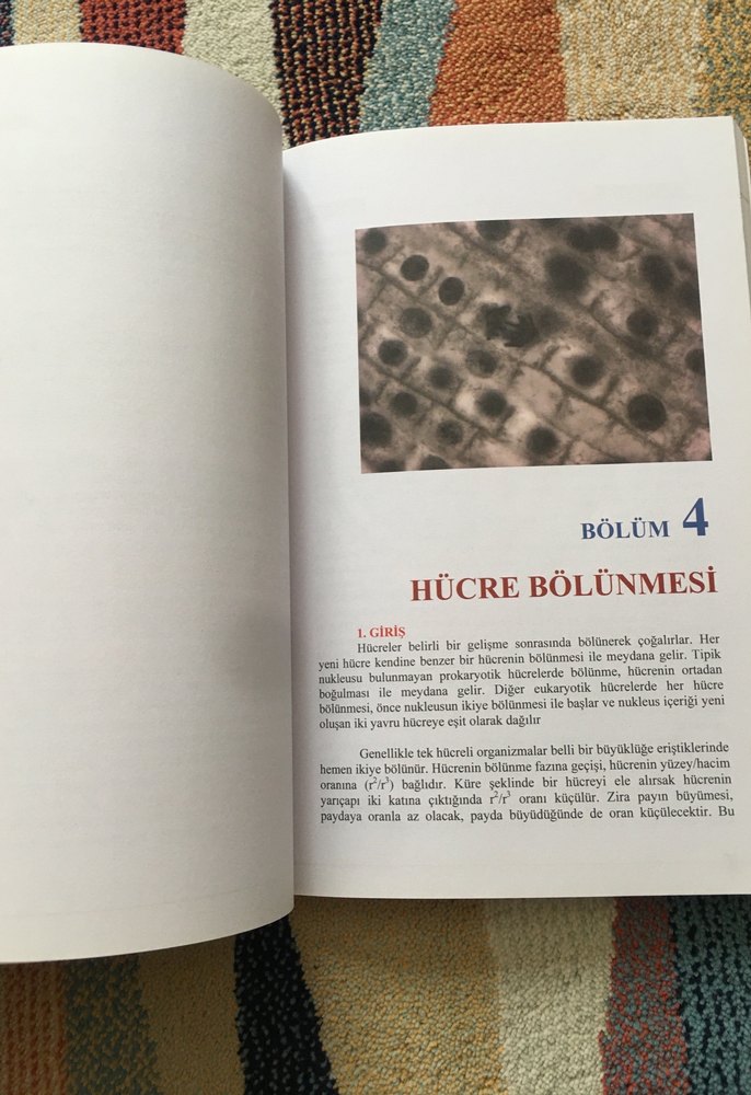 Bitki Biyolojisi Kitabı - Prof. Dr. Hüseyin Masırdalı - Görsel 5