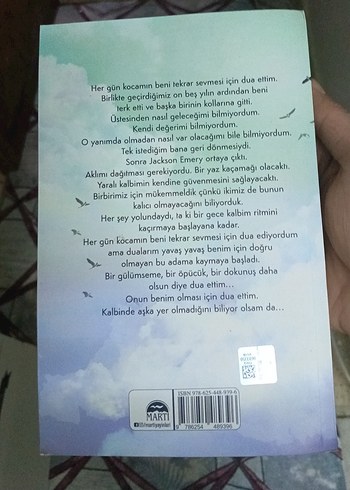 Yüz Karası - Brittainy C. Cherry - Görsel 2