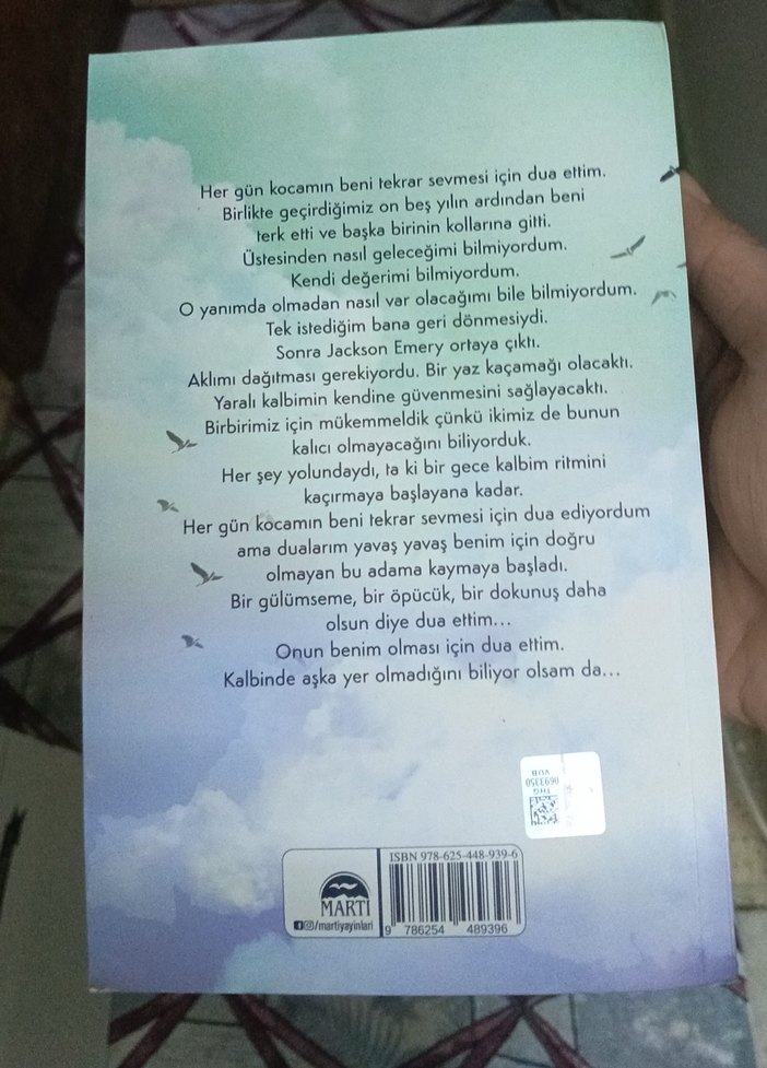 Yüz Karası - Brittainy C. Cherry - Görsel 2