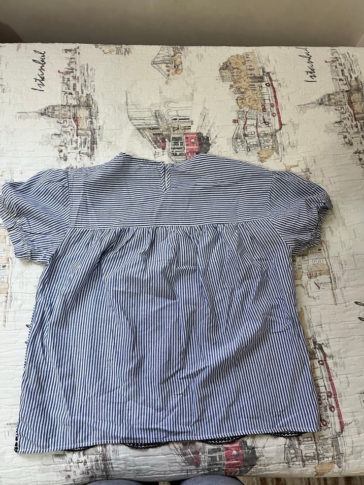 Nakış Detaylı Mavi Çizgili gömlek - Görsel 2