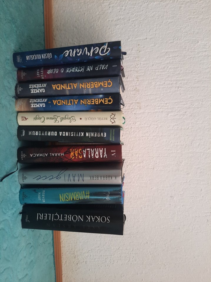 Çeşitli Romanlar - Maral Atmaca ve Diğerleri - Görsel 2