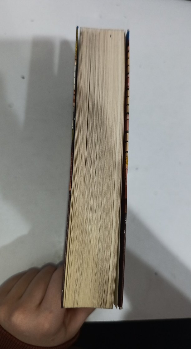 Bin Bela Bir Karanfil - Kübra Nur - Görsel 4