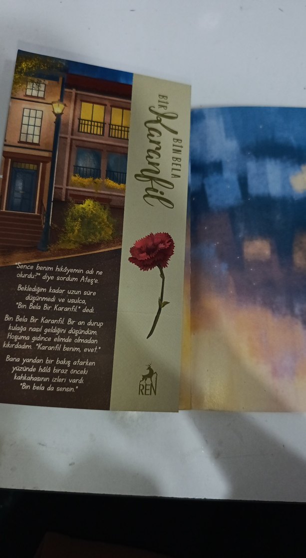 Bin Bela Bir Karanfil - Kübra Nur - Görsel 3