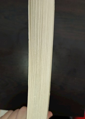 Kübra Nur - Bir Sarmaşık Teorisi - Görsel 3