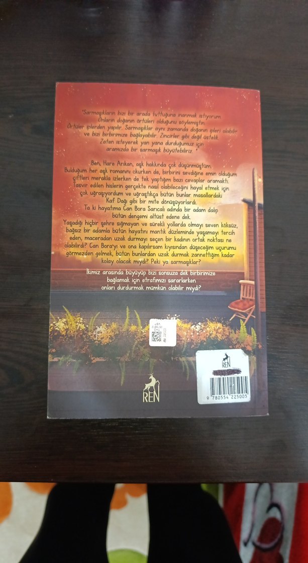 Kübra Nur - Bir Sarmaşık Teorisi - Görsel 2