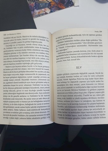 Diriliş - Lev Nikolayeviç Tolstoy - Görsel 3