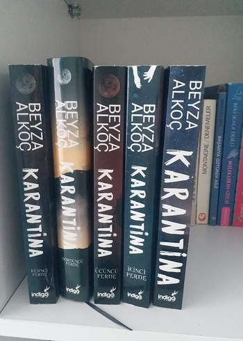 Beyza Alkoç - Karantina Roman Serisi - Görsel 2