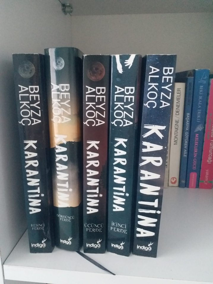 Beyza Alkoç - Karantina Roman Serisi - Görsel 2