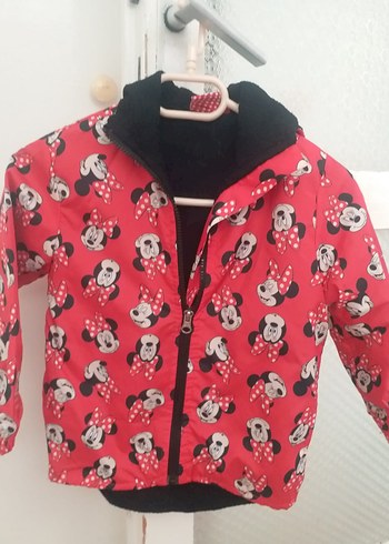 Walt Disney World 4 Yaş