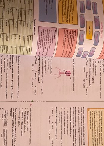 BILGI SARMAL Biyoloji TYT-AYT Soru Bankası - Görsel 3