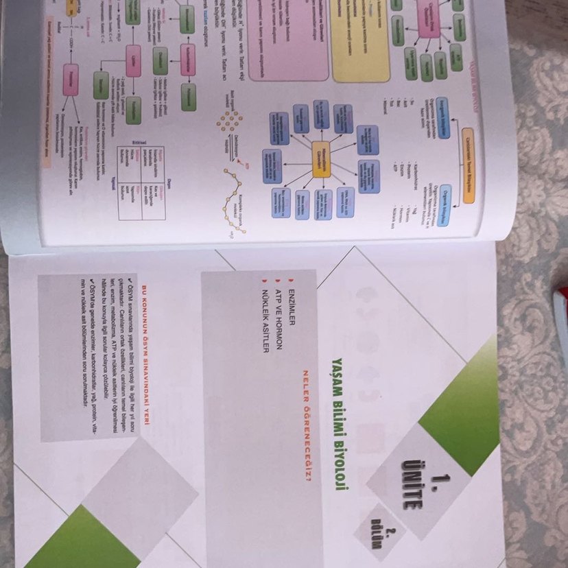 BILGI SARMAL Biyoloji TYT-AYT Soru Bankası - Görsel 2