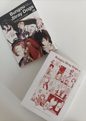 Beden Bungou Stray Dogs Cilt 2