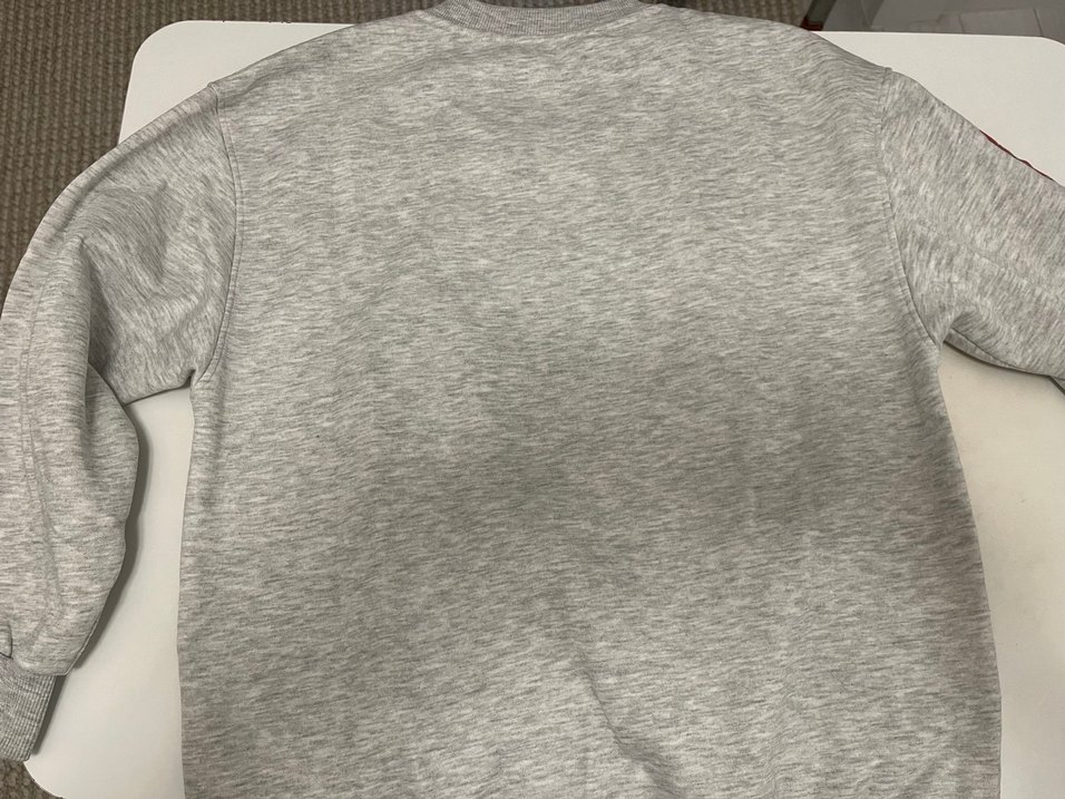 Snoopy Baskılı Gri Sweatshirt - Görsel 2