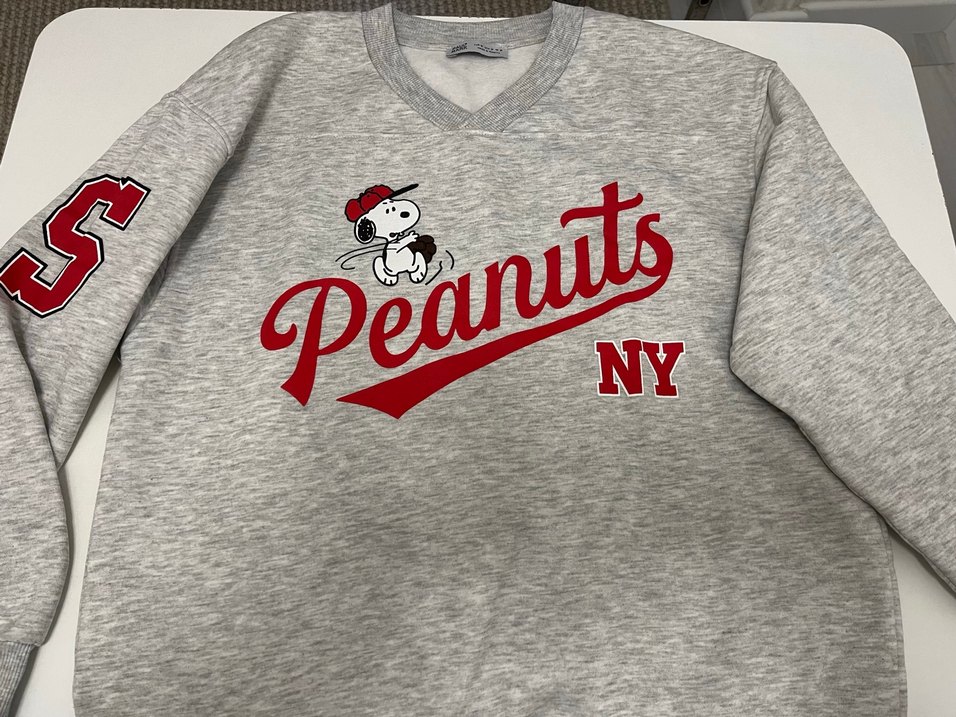 Snoopy Baskılı Gri Sweatshirt - Görsel 3