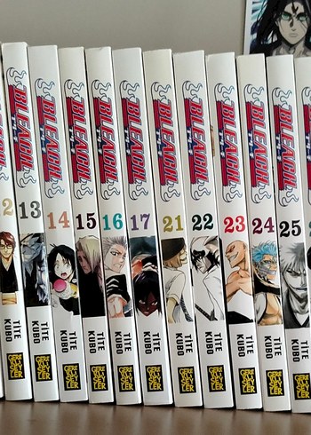 Bleach Manga