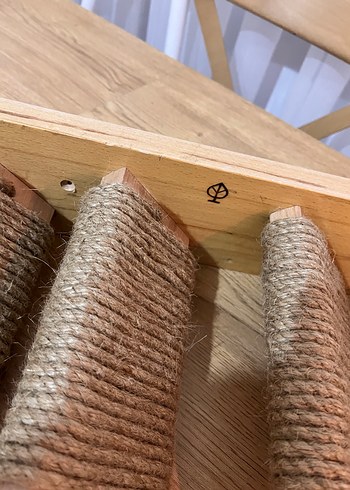 Patibasamak Kedi Merdiveni - Görsel 5