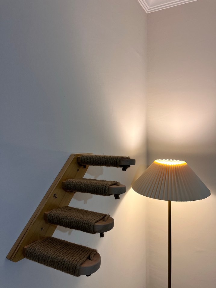 Patibasamak Kedi Merdiveni - Görsel 2