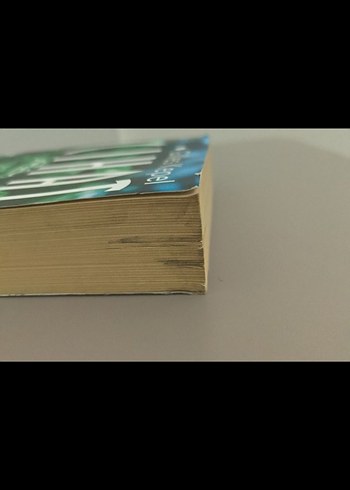 Cihat - İslamcılığın Yükselişi ve Gerilemesi - Görsel 8