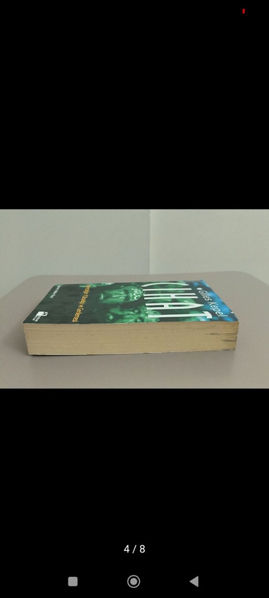 Cihat - İslamcılığın Yükselişi ve Gerilemesi - Görsel 4