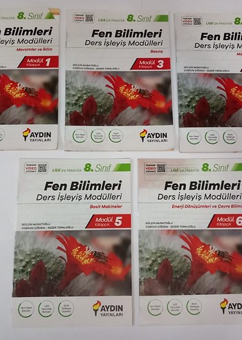 8. Sınıf Aydın Yayınları Fen Bilimleri Föyleri