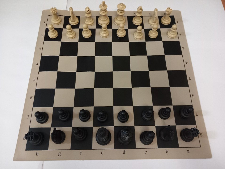 Satranç Takımı - Görsel 2