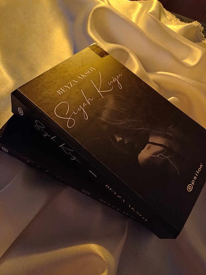 Beyza Aksoy'dan Siyah Kuğu 1, 2 Romanı - Görsel 2