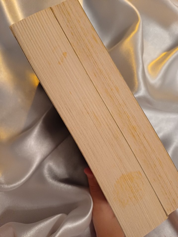 Beyza Aksoy'dan Siyah Kuğu 1, 2 Romanı - Görsel 3