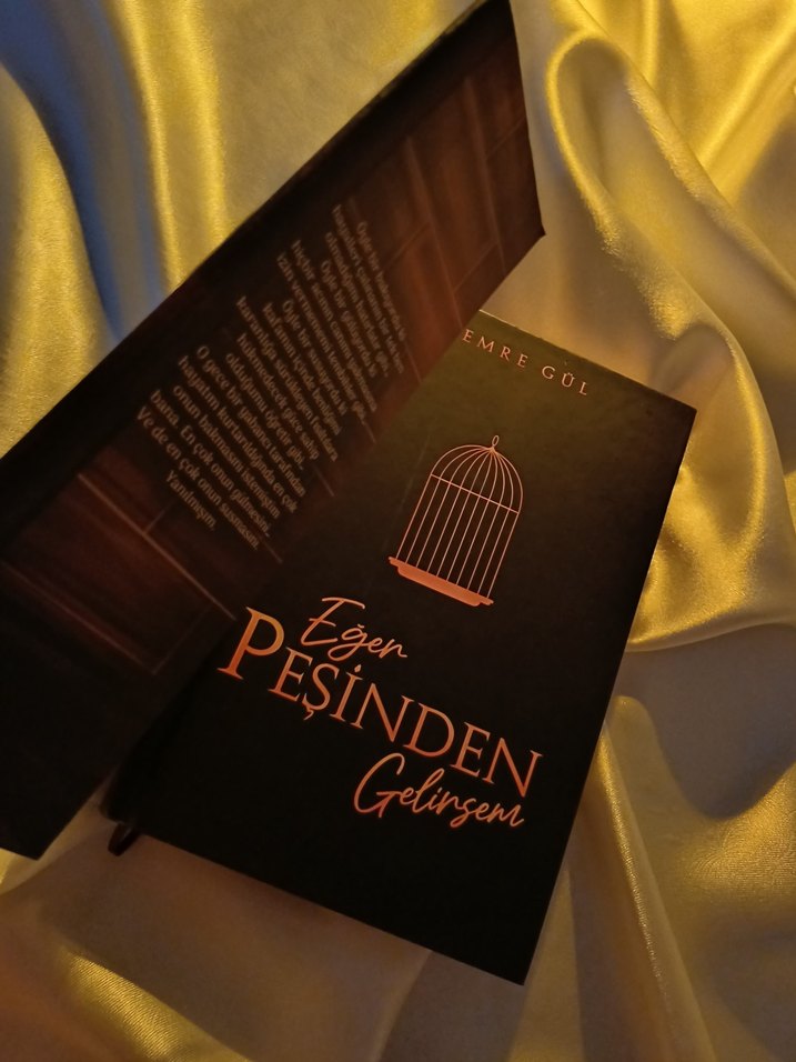 Eğer Peşinden Gelirsem- Emre gül - Görsel 2