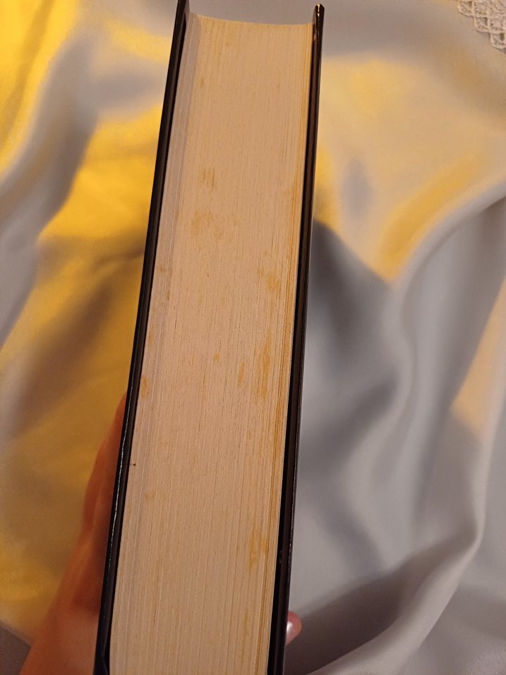 Mimoza - Işılsu Gültekin - Görsel 2