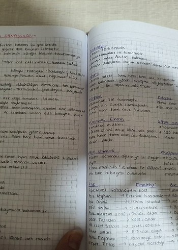 El Yazısı Notları - Deneme Kategorisi ayt edebiyat özet defteri - Görsel 7