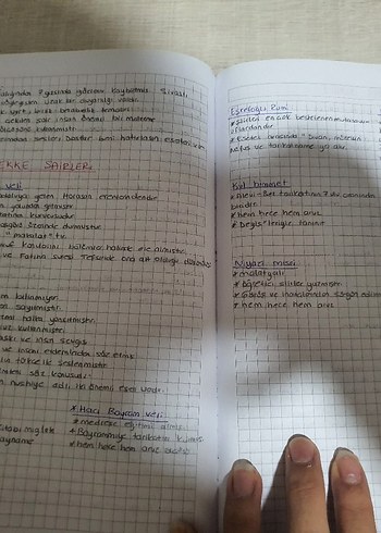 El Yazısı Notları - Deneme Kategorisi ayt edebiyat özet defteri - Görsel 4