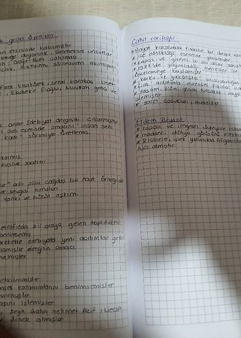 El Yazısı Notları - Deneme Kategorisi ayt edebiyat özet defteri - Görsel 5