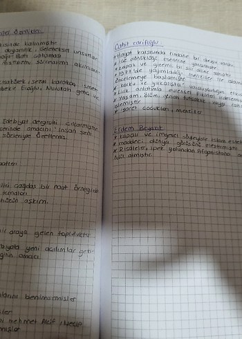 El Yazısı Notları - Deneme Kategorisi ayt edebiyat özet defteri - Görsel 2