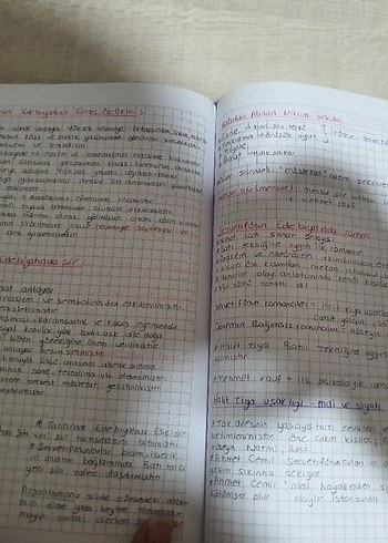 El Yazısı Notları - Deneme Kategorisi ayt edebiyat özet defteri - Görsel 3